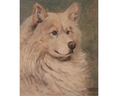 E M Nelson, Boris Olaf, portrait of Husky type dog,signed with title, date under frame,34x30cm.   