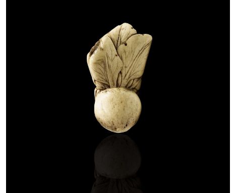 A Japanese carved bone netsuke of Pak Choi, 19th century, height 7.5cm, width 4cm, depth 3cm.Condition report: General wear t