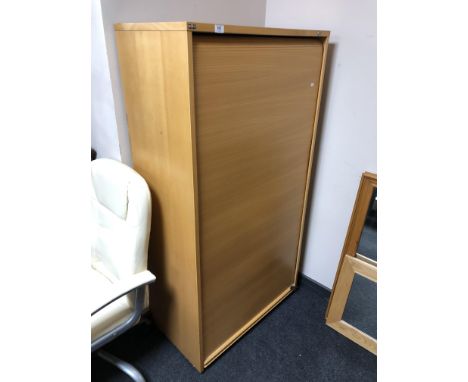 An EFG roller door office cabinet.