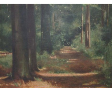Ernest de Vleeschouwer (Dutch, early 20th Century)- Path through a forest, oil on canvas, signed lower left "Ern. De Vleschou