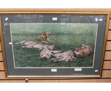 Anthony Gibbs, A Bachelor's Life, a study of six lions in a meadow, signed print, signed to lower right, mounted and framed