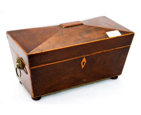 A Georgian sarcophagus tea caddy- restored, with stringing raised on squat bun feet and lion head, brass handles, mahogany