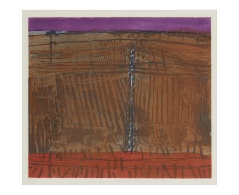 § BARBARA RAE C.B.E., R.A., R.S.A., R.E. (SCOTTISH 1943-) PLOUGHMARKS - CASTELFIORENTINO Etching with colours, 14/15, signed,