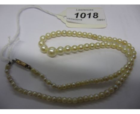 Small single row graduated cultured pearl necklace