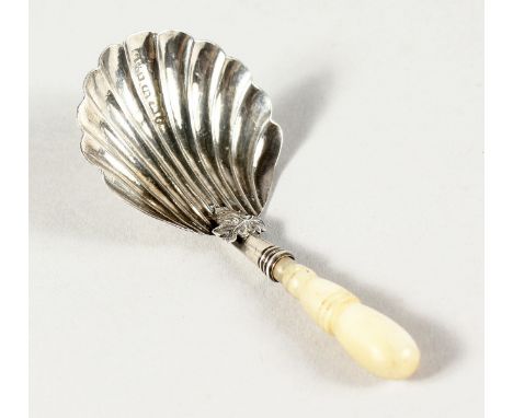 A GEORGIAN SILVER SHELL SHAPED CADDY SPOON.