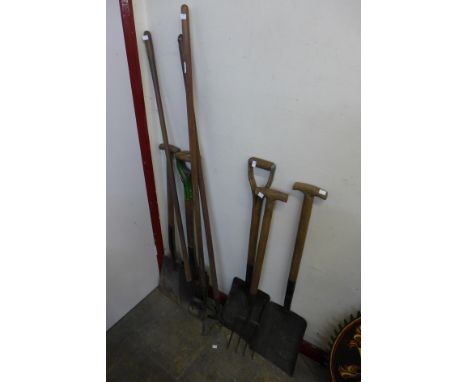 Assorted gardening tools 
