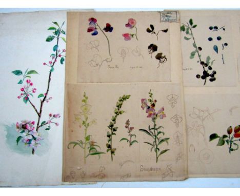 A portfolio containing a quantity of artwork by Augusta Mary Warren, produced between 1893 and 1900, when a student at the Ro