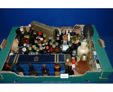 A large quantity of brandy and liqueur miniatures including Napoleon, Hennessey, Courvoisier Cognac, etc