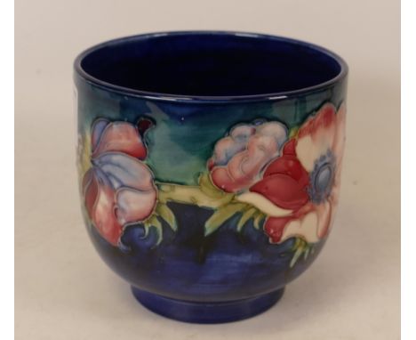 Moorcroft Anemone on blue planter. Height 10cm, diameter 11cm 