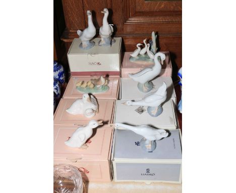 Eight Nao and one Lladro boxed bird ornaments.