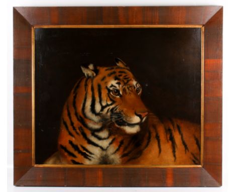 A 20th century picture 'Portrait of a tiger'. Unsigned, 61cm x 74.5cm, framed Condition Report: Appears in a fair condition f