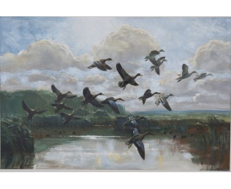 Peter Markham Scott - Cape Teal, Shoveler, Red-billed Teal, Black Duck taking flight, oil on board, signed and dated 1962, 59