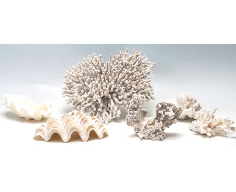 A group of vintage 20th Century coral specimens to include a large branch coral example, two large scalloped clam shells, bra