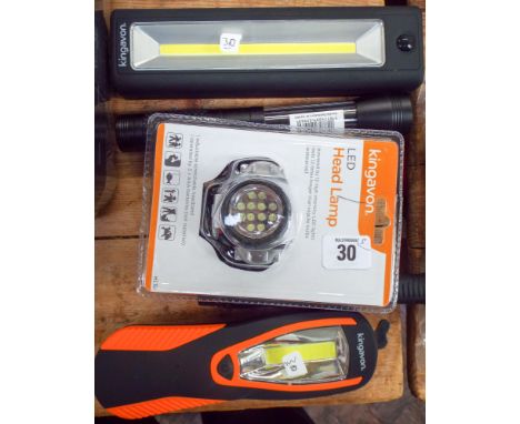 A new LED headlamp, 4 assorted torches and lamps