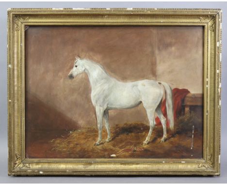ENGLISH SCHOOL, 19th century. Portrait of a grey horse in its loose box; Oil on board: 18” x 24” (w.a.f. – flaking to paint, 