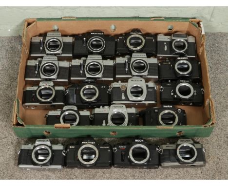 A box of nineteen 35mm SLR film camera bodies, to include Yashica FX-D Quartz, Minolta XG 1/X-300/X-9, Ricoh KR-10 Super, Chi