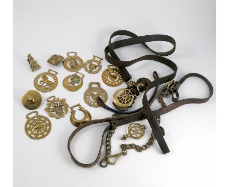 A collection of horse brasses, some on leather straps, together with other leather horse harness, leads, bridle etc, one bras
