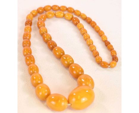 A vintage egg yolk/butterscotch graduated amber bead necklace, length approx 74cm, the largest bead 33 x 26mm, the smallest b