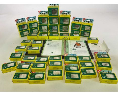 EDUCATIONAL EGG SERIES; a full collection of reproduction eggs used for educational instruction, all boxed and with informati