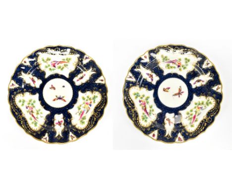 ROYAL WORCESTER; a pair of cabinet plates decorated in the 18th century style with blue scale ground and vignettes of butterf