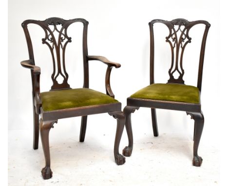 A set of six early 20th century Chippendale style dining chairs, each raised on ball and claw feet (5+1).
