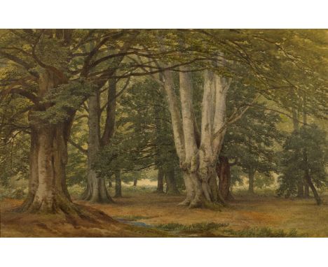 Frederick Richard Lee, RA, British 1798-1879- Burnham Beeches; watercolour and bodycolour on paper, signed, titled, and dated