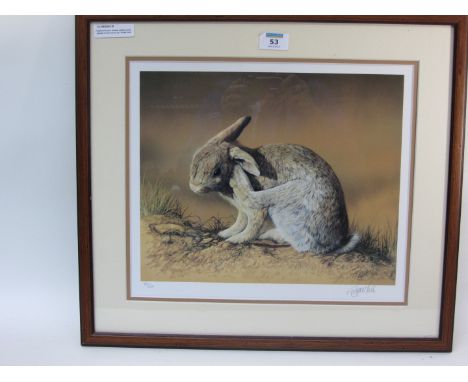 Rabbit Portrait, limited edition prinr signed on the mount by I.Ralph Hall