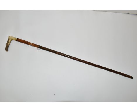 AN ANTIQUE 7MM CENTREFIRE WALKING STICK SHOTGUN IN WORKING ORDER, its handle is made from a  deer's antler and the barrel is 