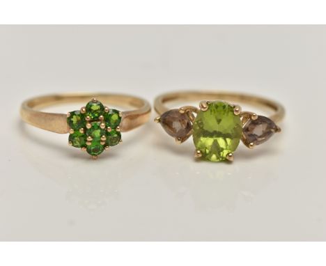 TWO 9CT GOLD GEM SET RINGS, the first a tsavorite garnet cluster ring, flower shape, to a polished band, hallmarked 9ct Birmi