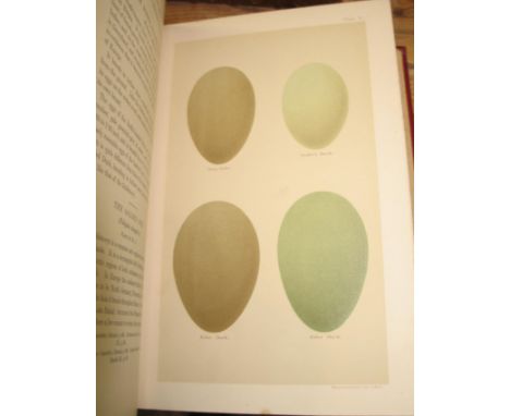 [ORNITHOLOGY] SEEBOHM (H.) &amp; BOWDLER SHARPE (R), Coloured Figures of the Eggs of British Birds, lge. 8vo, portrait fronti
