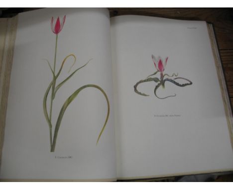 [GARDEN] DYKES (W. R.) Notes on Tulip Species, folio, 54 col. plates by Katherine Dykes, clo., 1st Edn., L., 1930; with "Adva