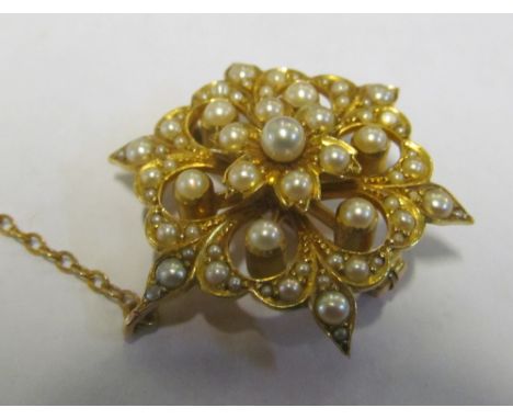 An Edwardian pretty seed pearl brooch with safety chain
