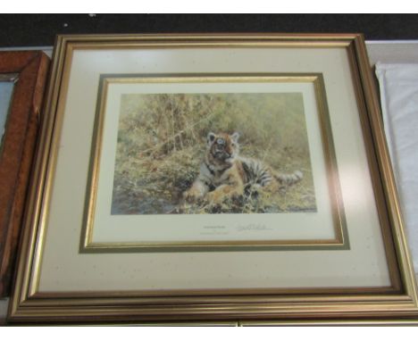 A limited edition print after David Shepherd "Teenage Tiger". 1415/1500, framed and glazed. 20cm x 30cm