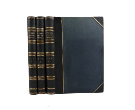 With Very Clean Plates  Winkles -&nbsp;Architectural and Picturesque Illustrations of the Cathedral Churches of England and W