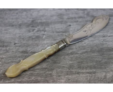 Early Victorian mother-of-pearl silver butter knife, carved mother-of-pearl handle, the silver blade with engraved foliate sc