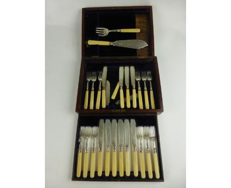 A cased set of twelve pairs of silver hallmarked Sheffield 1905 fish knives and forks together with a pair of matched servers