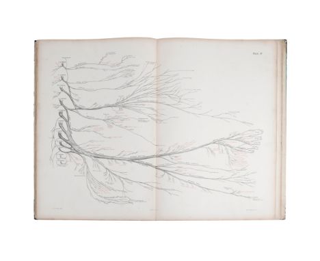 A collection of Medical Books 8 Books, comprising Flower, W.H. Diagrams of the Nerves. London: John Churchill, 1861. Folio, o