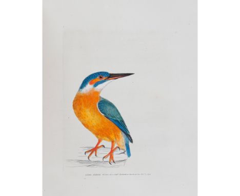 Lewin, William The Birds of Great Britain London: J. Johnson, 1795-1801. 8 volumes bound in 4, second edition, small folios, 