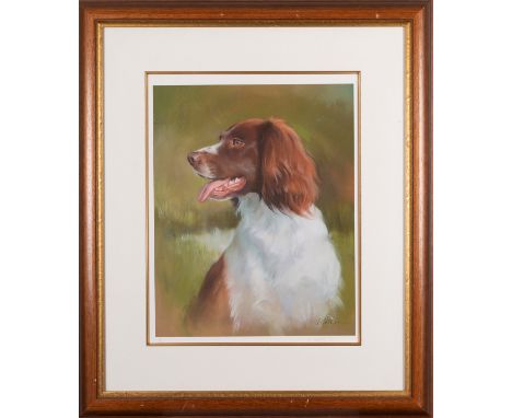 20th Century School Portrait of a dog Limited edition print, 18/250 Signed lower left 38 x 32cm