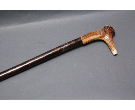 Hazel shaft walking stick with stag antler handle with combined whistle.  Length 129 cm. 