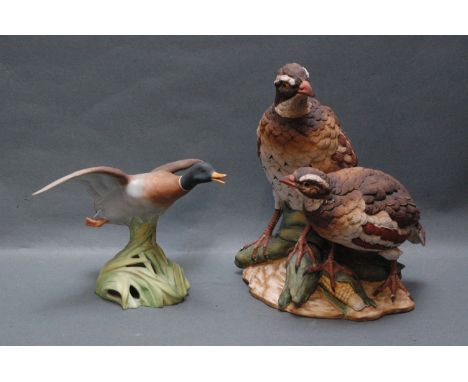 Spode mallard rising, height 16 cm, and a Continental figure of two partridge or quail, height 25 cm. 