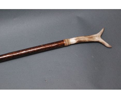 Hazel walking stick with stag antler handle.  131 cm. 