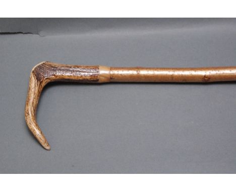 Hazel walking stick with stag antler handle.  129 cm. 