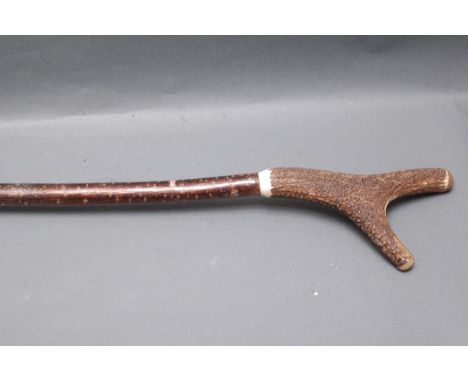Walking stick with antler handle.  Length 145 cm. 