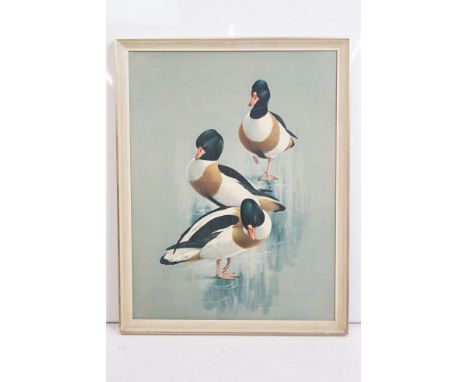 Raymond C Watson (1935 - 1994), shelducks, print on board, 60 x 45.5cm, framed 