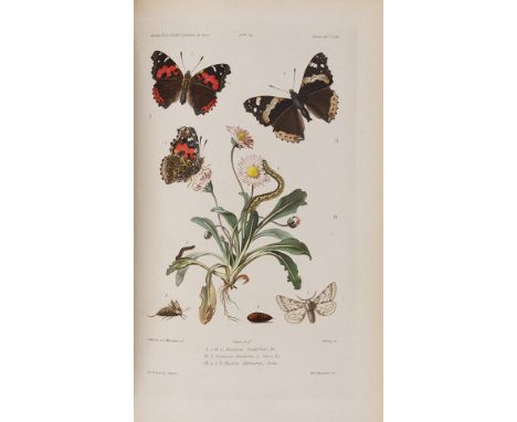 Pierre Millière    Exzellent und rar Iconographie et description de Chenilles et Lépidoptères inédits. 3 Bände. Lyon, F. Dumo