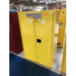 Securall Safety Storage Cabinet (43" W x 18" D x 65" H), Model A145, 45 Gallon Cap. [Located @