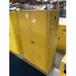 Safety Storage Cabinet (43" W x 18" D x 65" H) [Located @ 1700 Business Center Drive, Duarte, CA