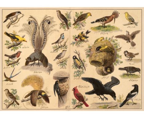 Zoologie - - Musavver Tarif-i Hayvanat. (Osmanisches Tierbuch.) Mit 24 doppelblattgr. chromolithogr. Tafeln. Istanbul, Matbaa