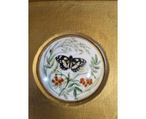 A Royal Worcester circular porcelain pot lid painted butterfly amongst leaves and berries, framed, 2 1/4in D